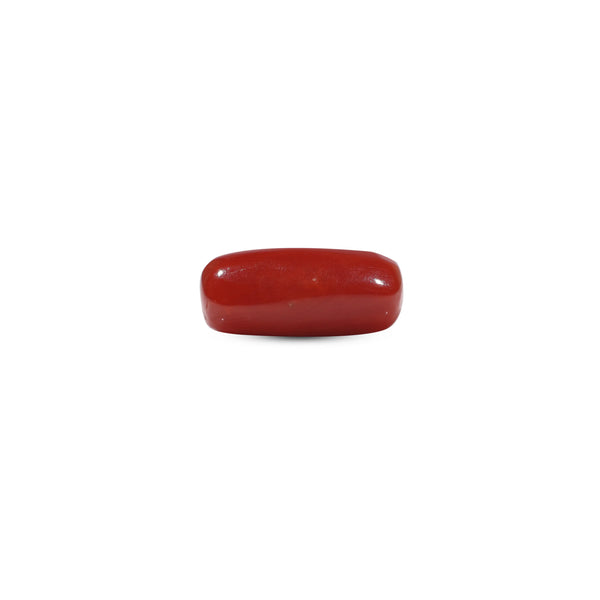 Red Coral - 5.45 Carat - Pramogh