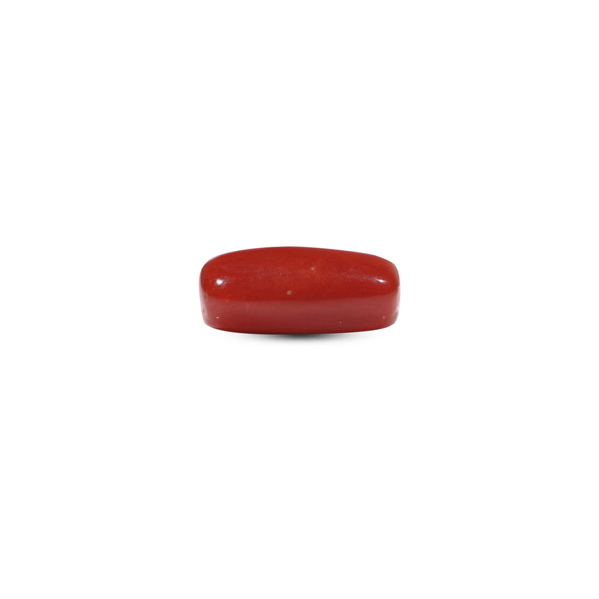 Red Coral - 5.45 Carat