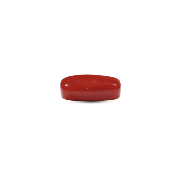 Red Coral - 5.45 Carat