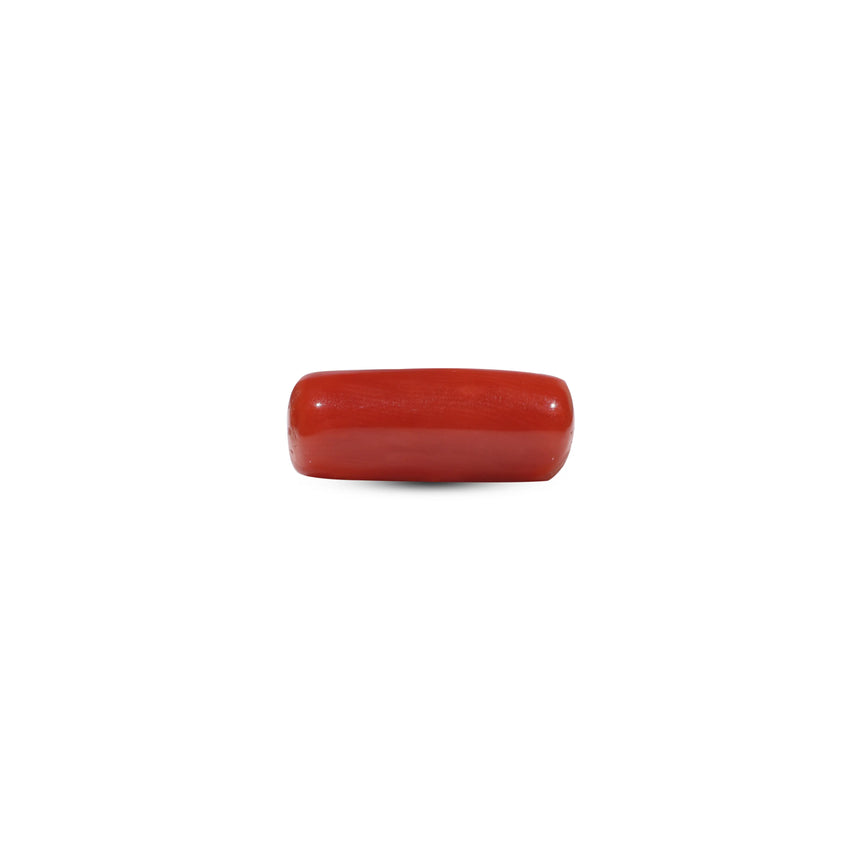 Red Coral - 6.85 Carat - Pramogh