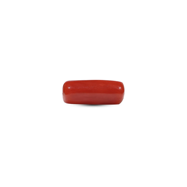 Red Coral - 6.85 Carat - Pramogh