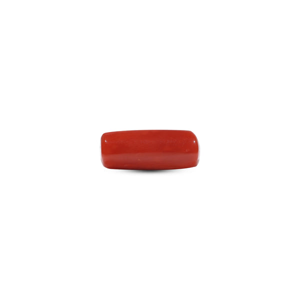 Red Coral - 6.85 Carat