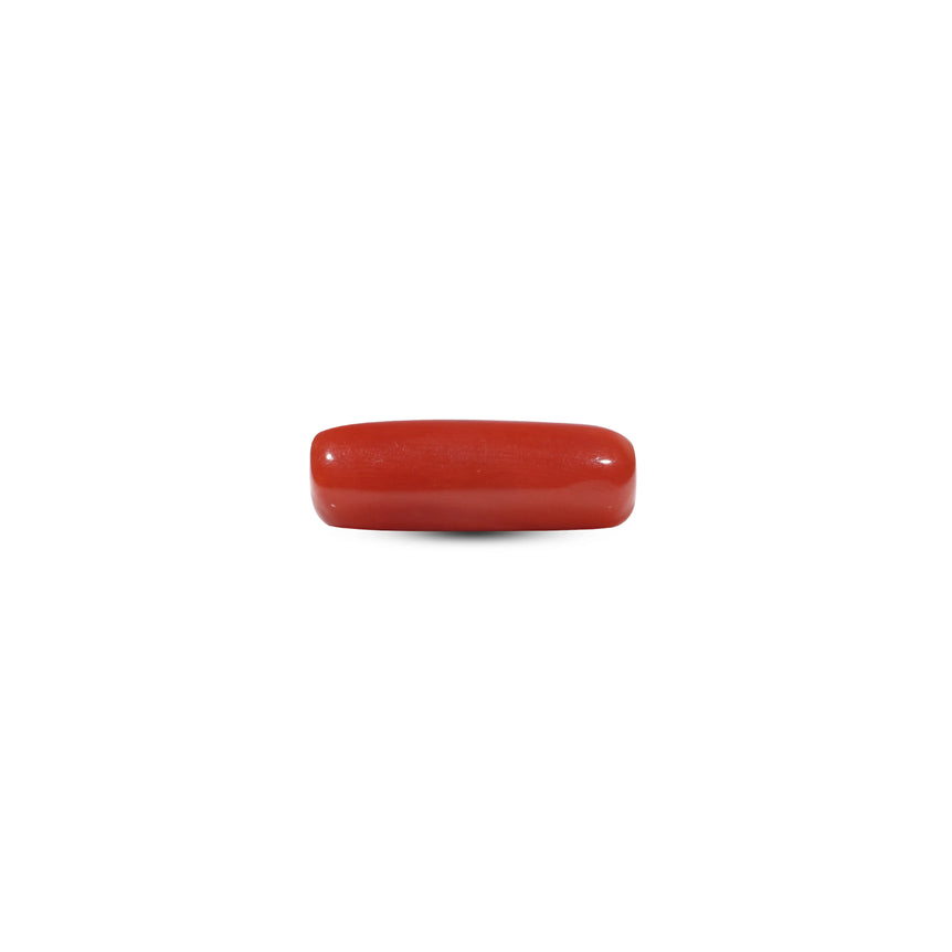 Red Coral - 5.5 Carat - Pramogh