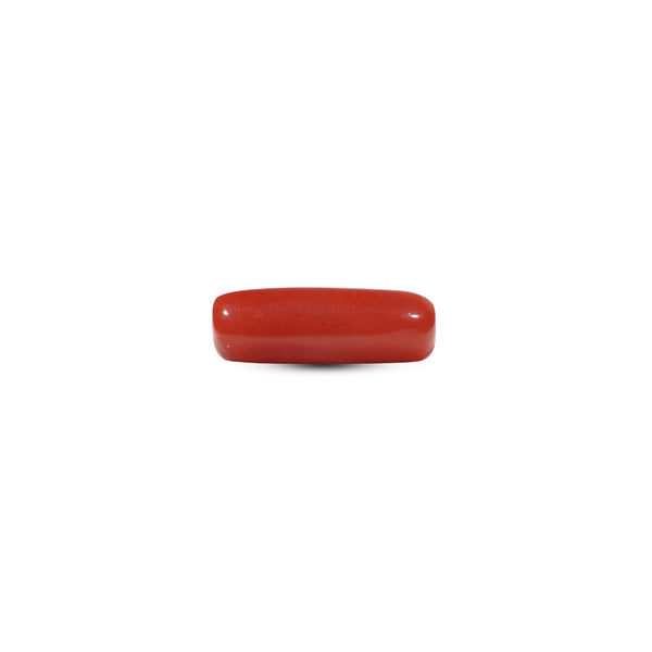 Red Coral - 5.5 Carat - Pramogh