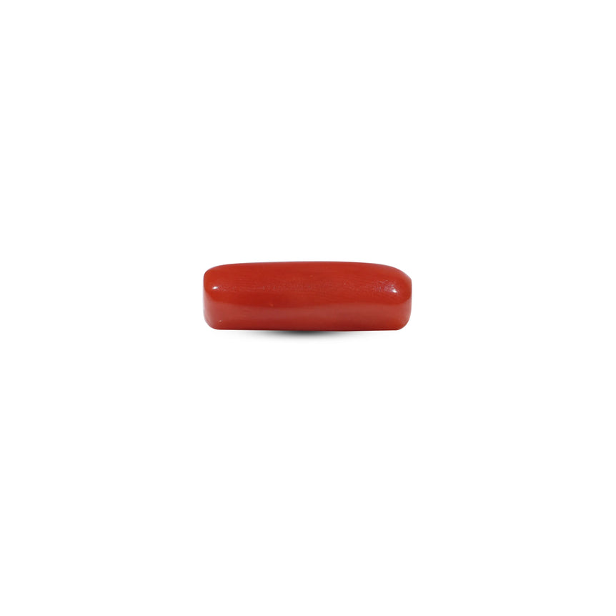 Red Coral - 5.5 Carat