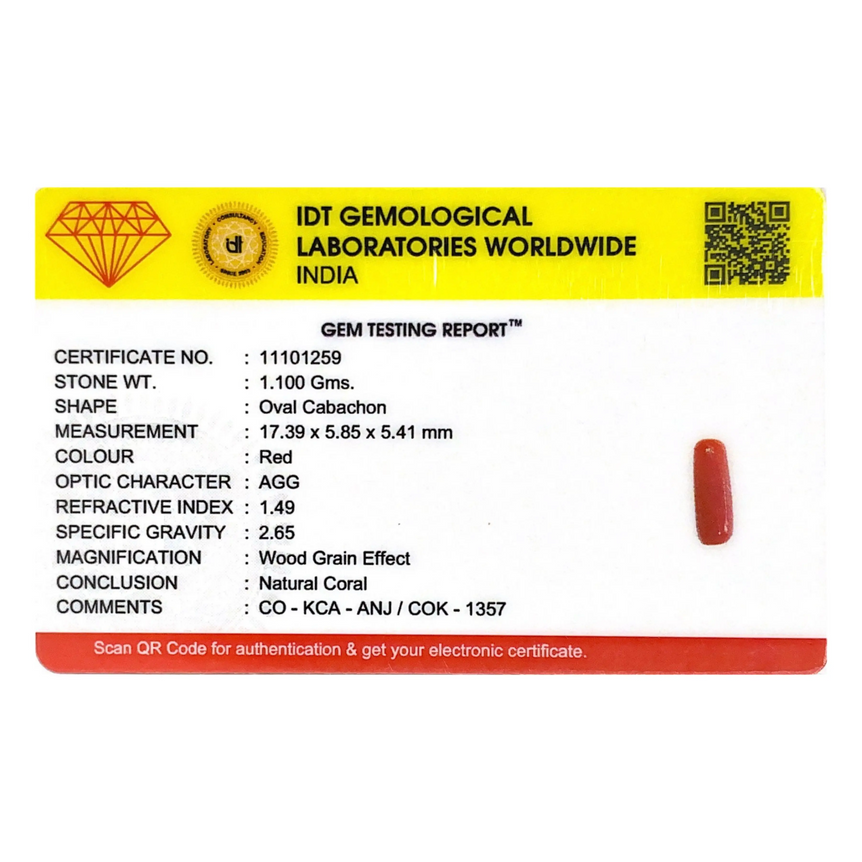Red Coral - 5.5 Carat
