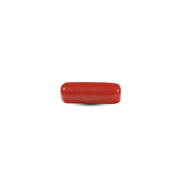 Red Coral - 5.5 Carat - Pramogh