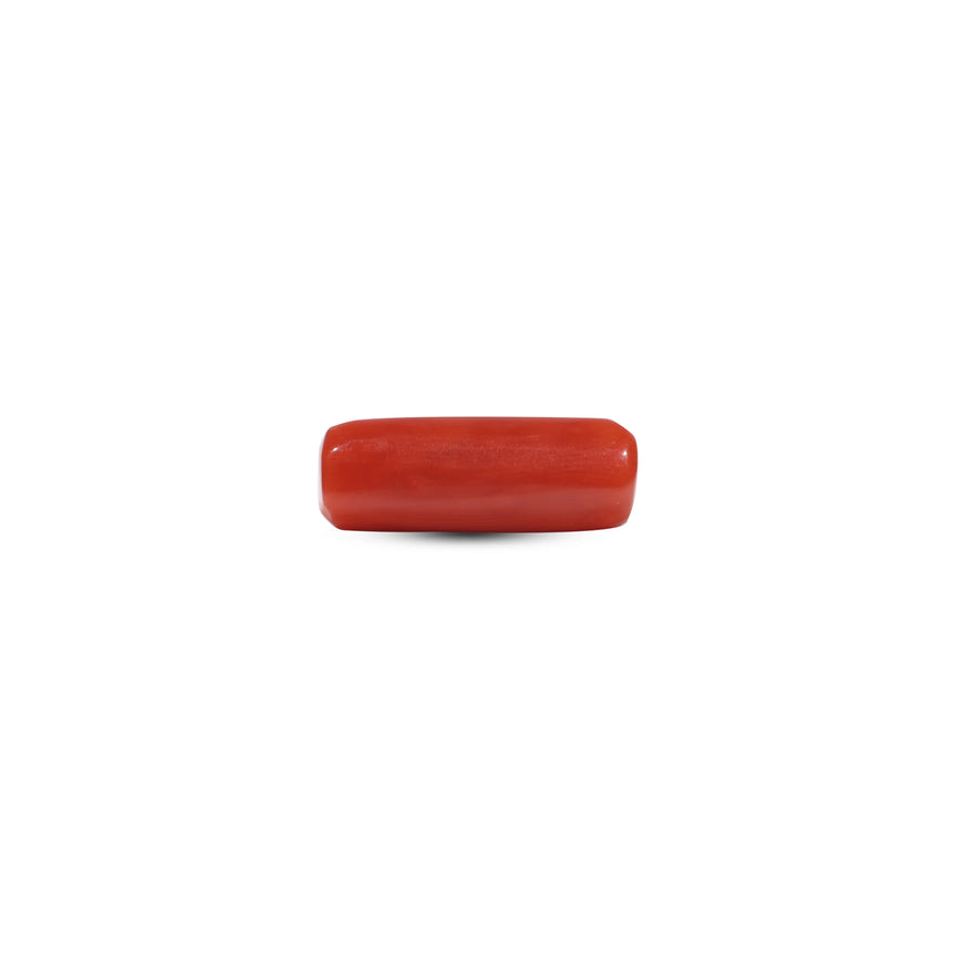 Red Coral - 5.5 Carat