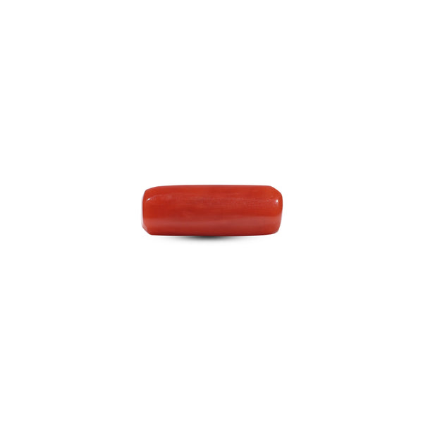 Red Coral - 5.5 Carat