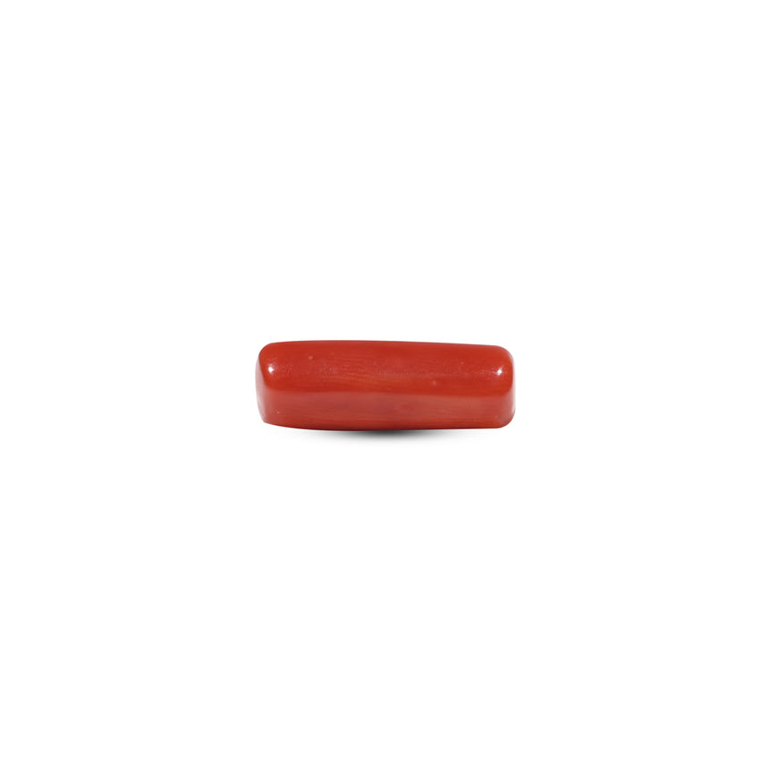 Red Coral - 5.5 Carat