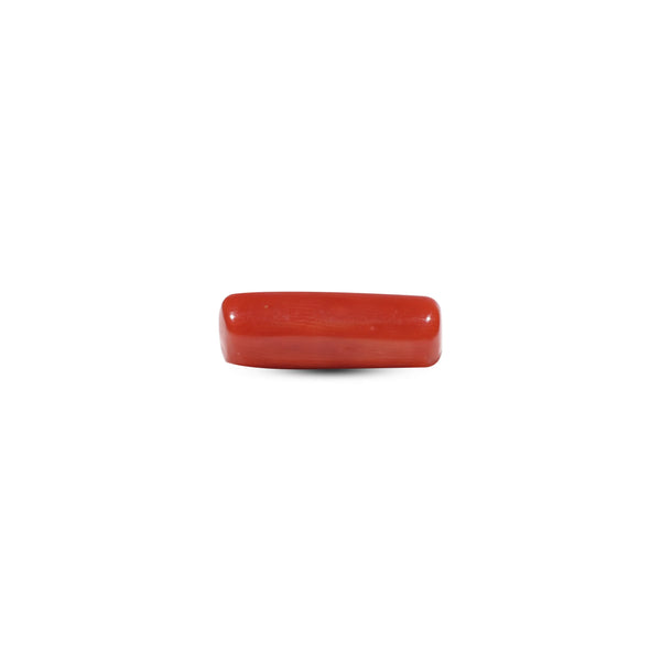 Red Coral - 5.5 Carat