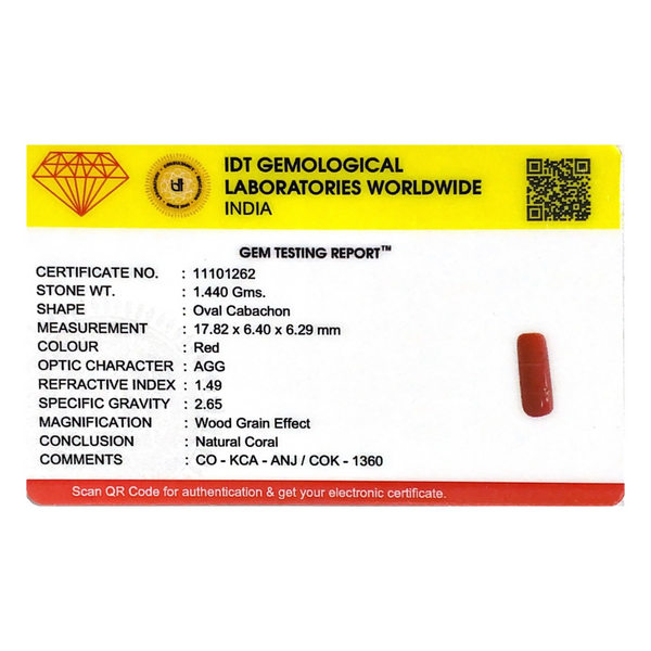 Red Coral - 7.2 Carat