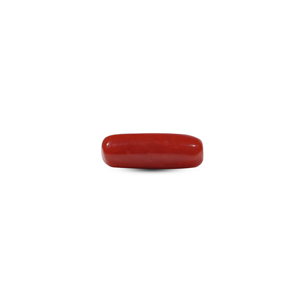 Red Coral - 6.65 Carat - Pramogh