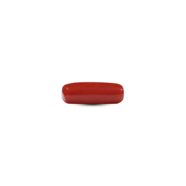 Red Coral - 6.65 Carat