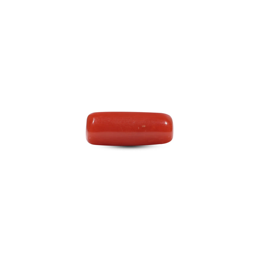 Red Coral - 6.05 Carat