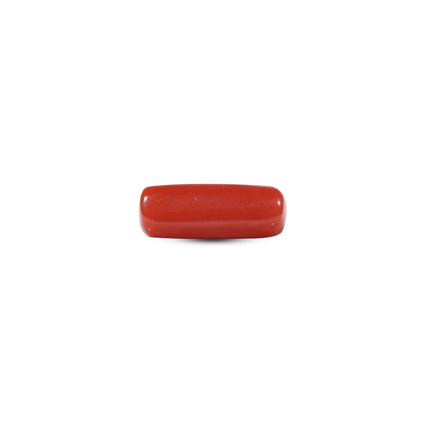 Red Coral - 6.05 Carat