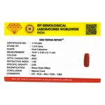 Red Coral - 6.05 Carat