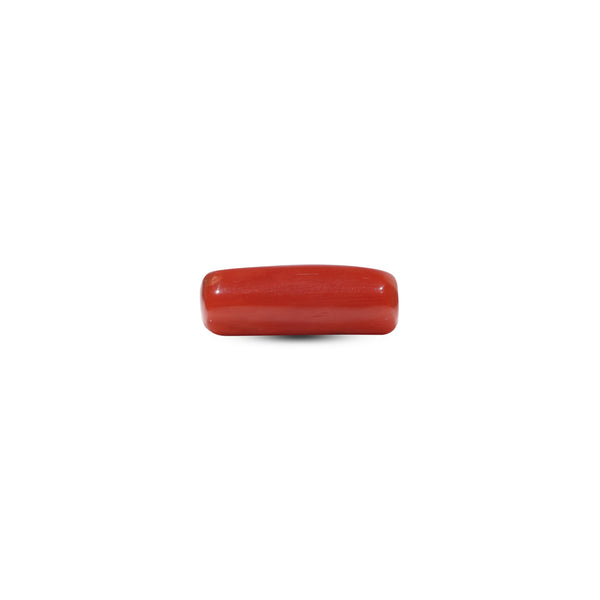 Red Coral - 5.4 Carat