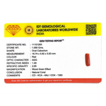 Red Coral - 5.4 Carat