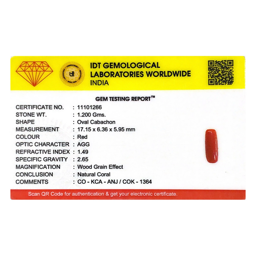 Red Coral - 6 Carat