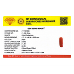 Red Coral - 6 Carat