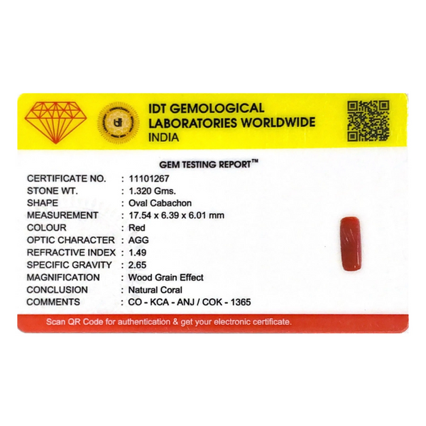 Red Coral - 6.6 Carat