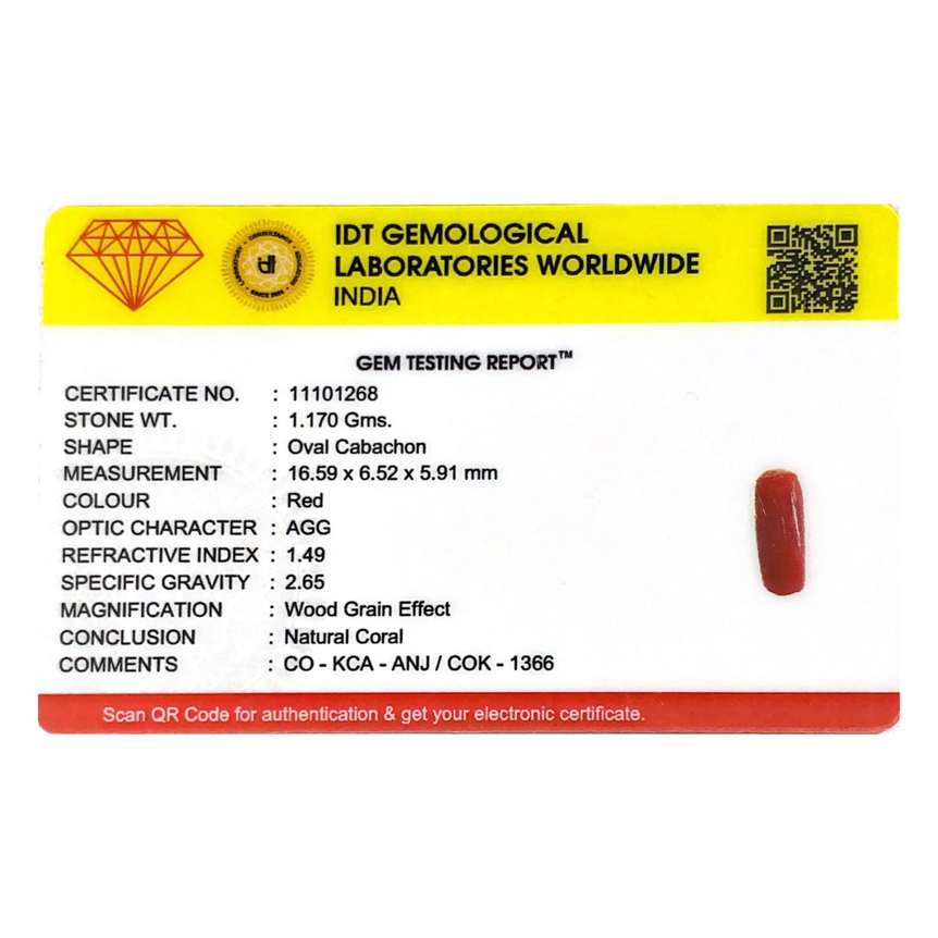 Red Coral - 5.85 Carat