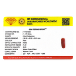 Red Coral - 5.85 Carat