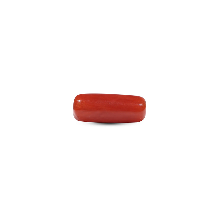 Red Coral - 7.2 Carat