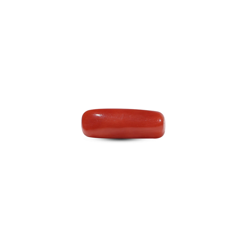 Red Coral - 5.9 Carat - Pramogh