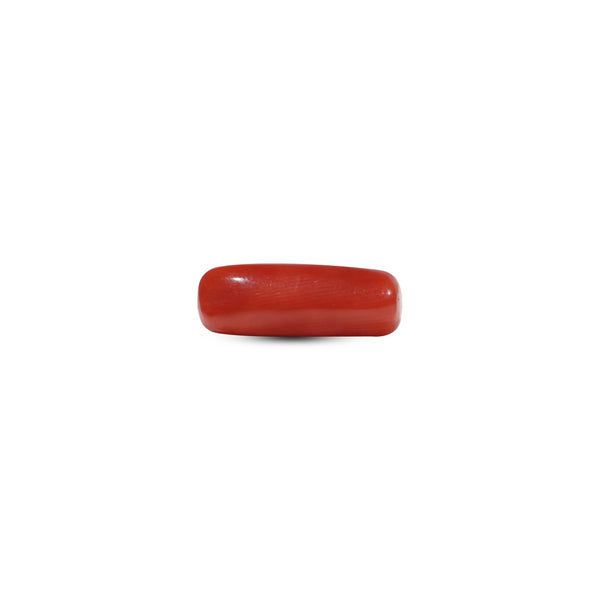 Red Coral - 5.9 Carat - Pramogh