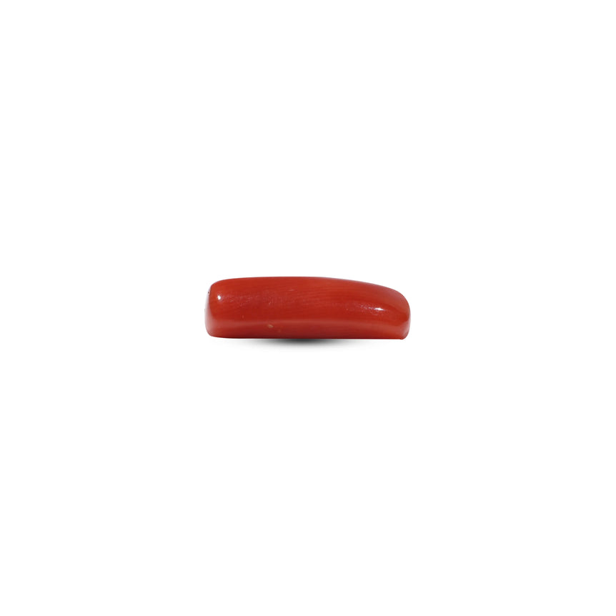 Red Coral - 5.9 Carat