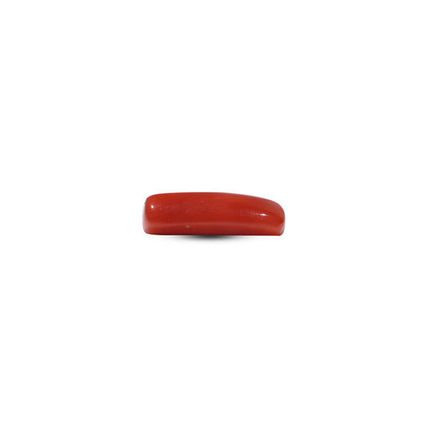 Red Coral - 5.9 Carat