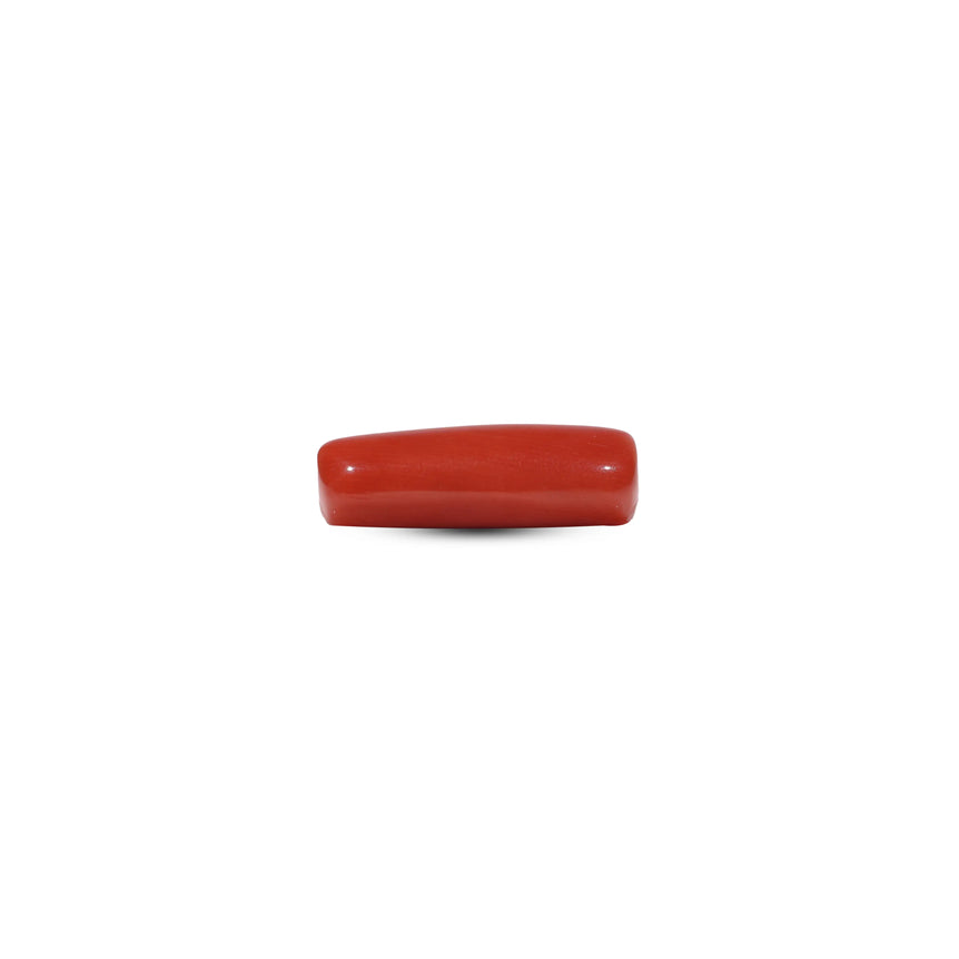 Red Coral - 6.55 Carat