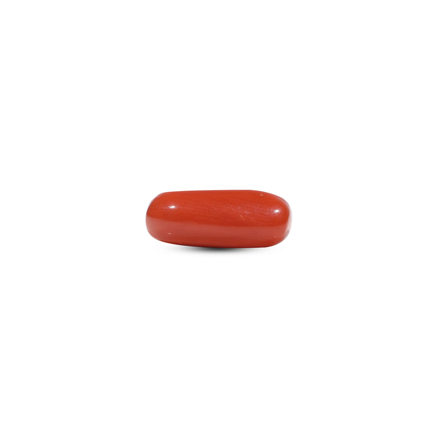 Red Coral - 6.55 Carat - Pramogh