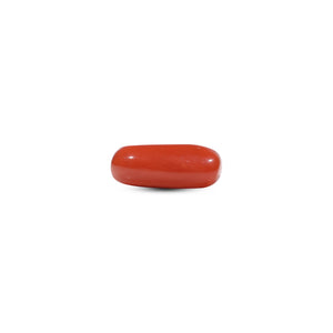 Red Coral - 6.55 Carat - Pramogh