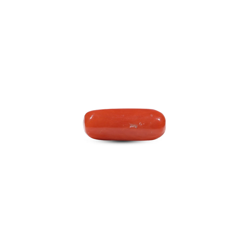 Red Coral - 6.55 Carat