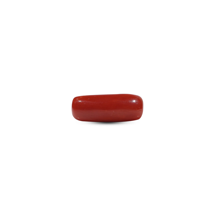 Red Coral - 6.65 Carat - Pramogh