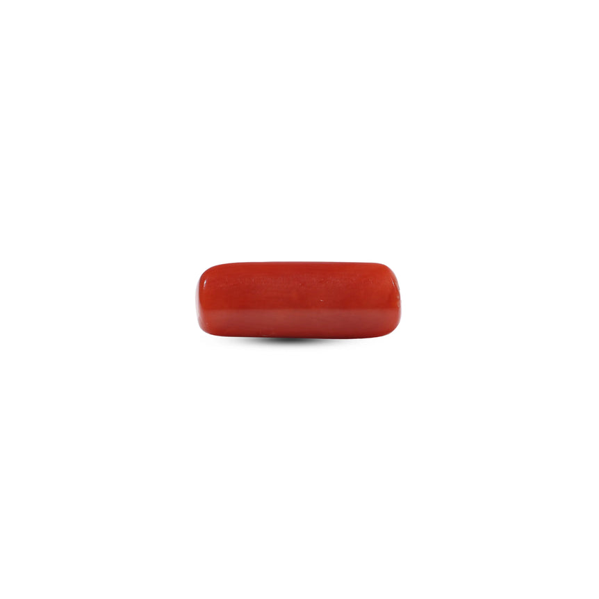 Red Coral - 6.65 Carat
