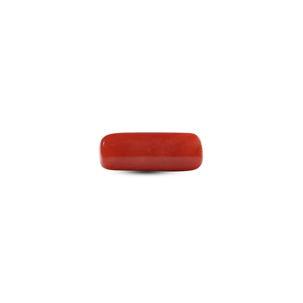 Red Coral - 6.65 Carat