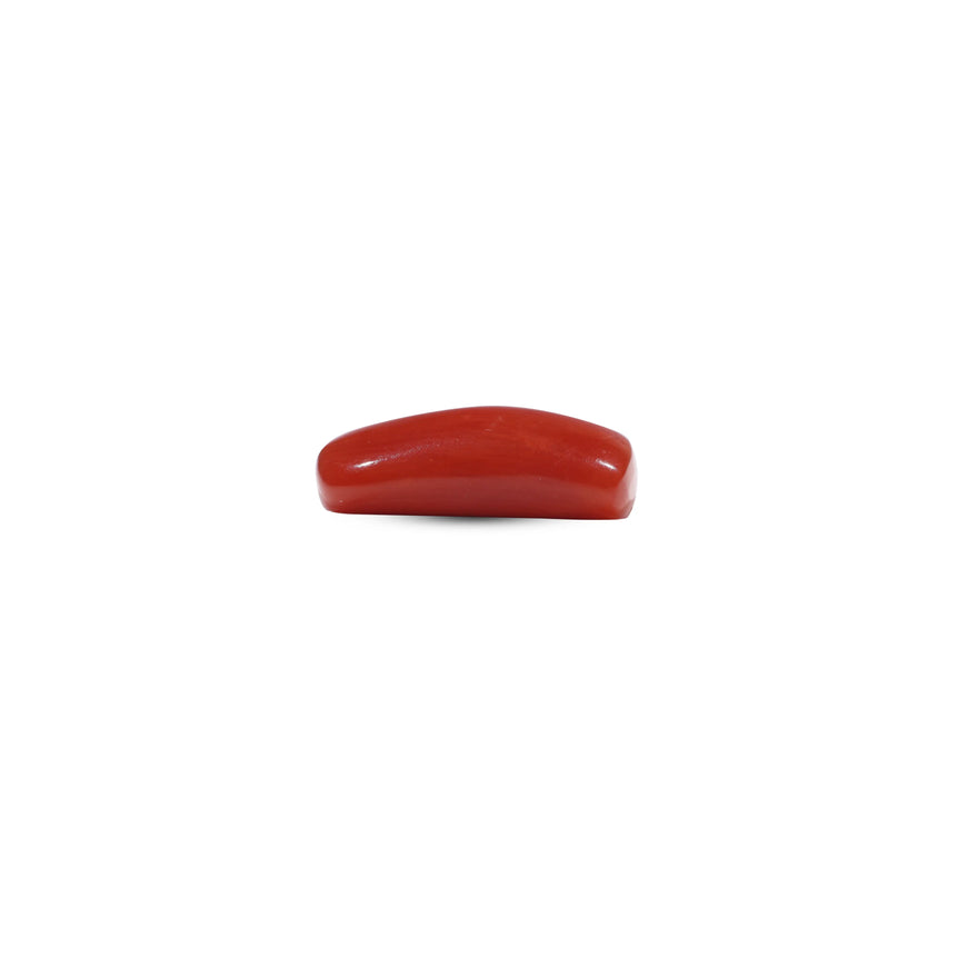 Red Coral - 6.65 Carat