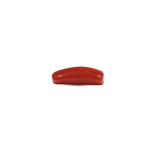 Red Coral - 6.65 Carat