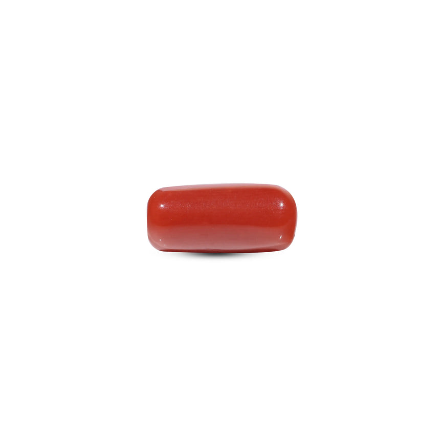Red Coral - 5.5 Carat - Pramogh