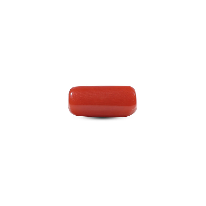Red Coral - 5.5 Carat