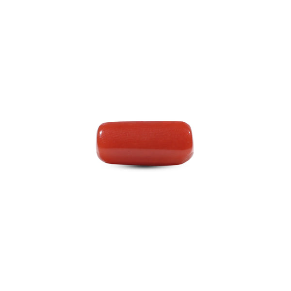 Red Coral - 5.5 Carat