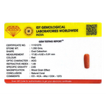 Red Coral - 6.75 Carat
