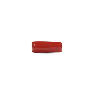 Red Coral - 7.2 Carat - Pramogh