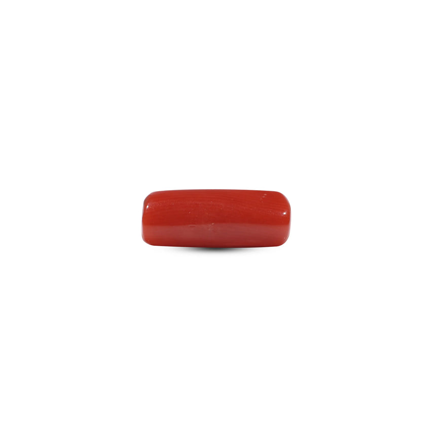 Red Coral - 7.2 Carat