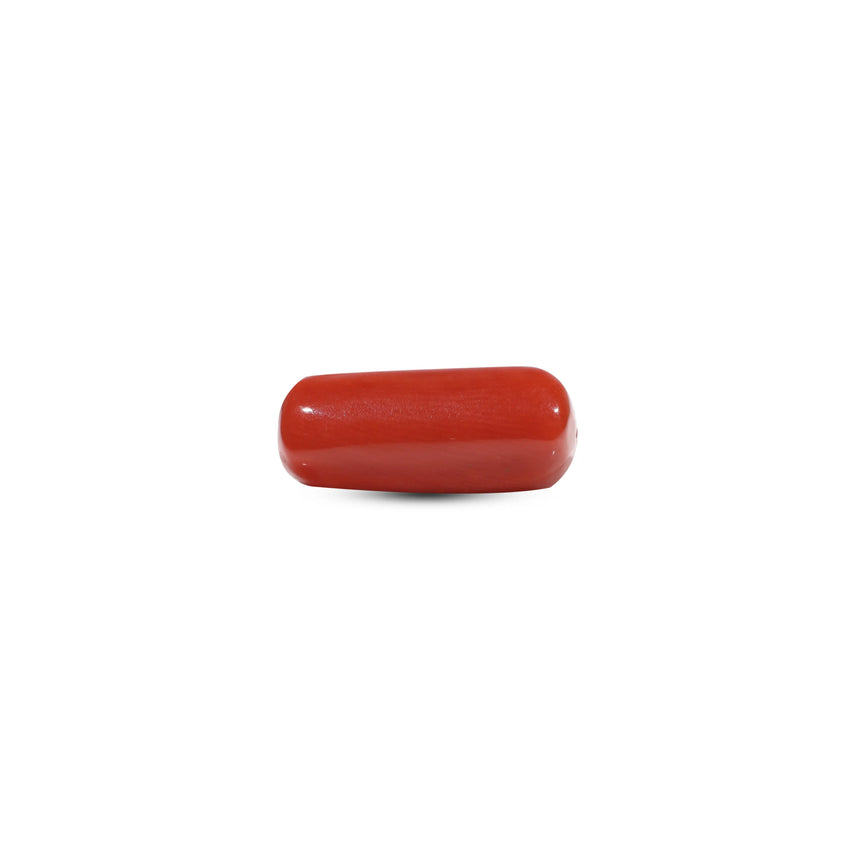 Red Coral - 6.35 Carat - Pramogh