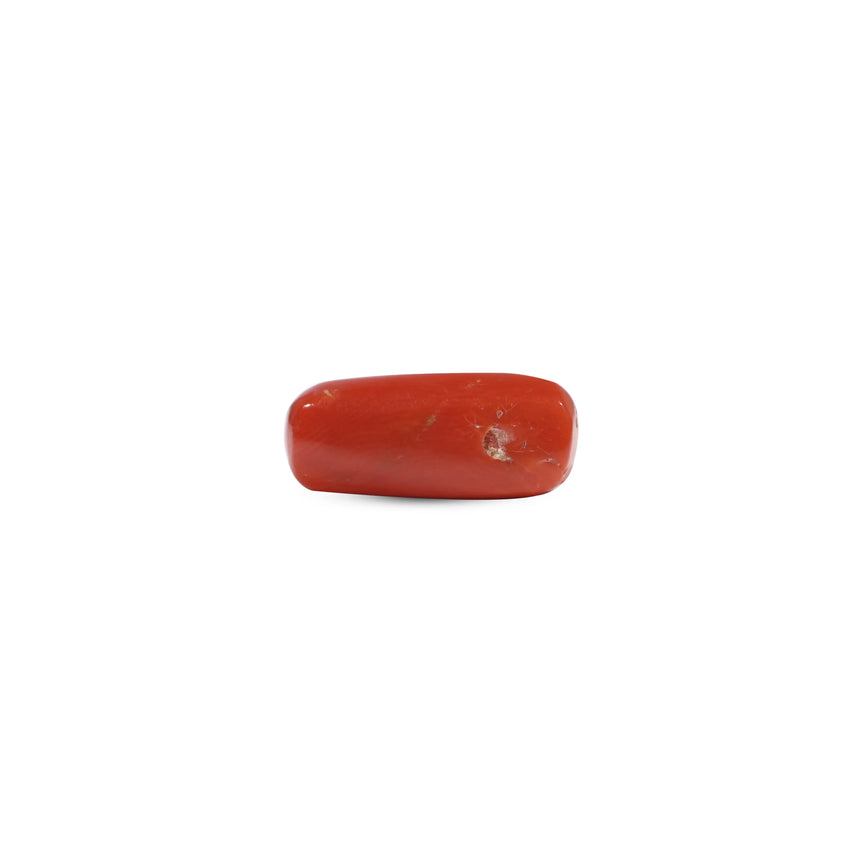 Red Coral - 6.35 Carat